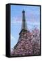 J'aime les Fleur de Paris-Cora Niele-Framed Stretched Canvas