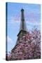 J'aime les Fleur de Paris-Cora Niele-Stretched Canvas