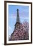 J'aime les Fleur de Paris-Cora Niele-Framed Giclee Print