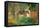 Framed Canvas