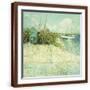 Brown Frame