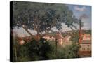 Stretched Canvas