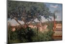 Wood Mount