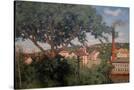 Stretched Canvas