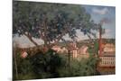 Wood Mount