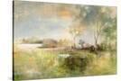 Stretched Canvas