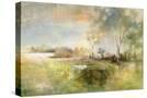 Stretched Canvas