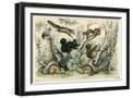 Black Frame