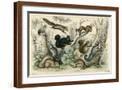 Brown Frame