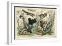 White Frame