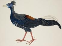 Deep Blue Kingfisher-J. Briois-Mounted Giclee Print