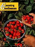 "Strawberries," Country Gentleman Cover, June 1, 1948-J.c. Allen-Giclee Print