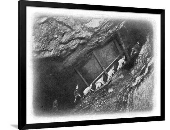Photographic Print, , large