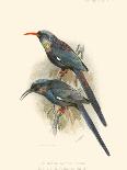 Birds in Nature V-J.C. Keulemans-Art Print