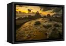 Canvas Black