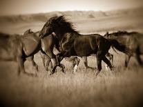 Cowgirl Silhouette-J.C. Leacock-Photographic Print