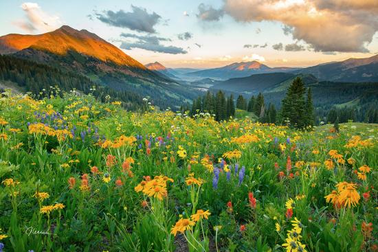Premium Photographic Print, , large