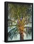 Essential Black