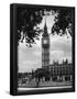 Essential Black