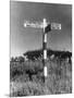 Wood Mount