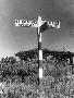 Just the Print