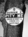 'Pity Me' Signpost-J. Chettlburgh-Photographic Print