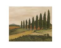 Shady Tuscan Road-Jean Clark-Framed Art Print