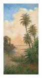 Tropical Serenity II-J^ D^ Davidson-Art Print