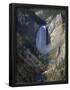 Essential Black