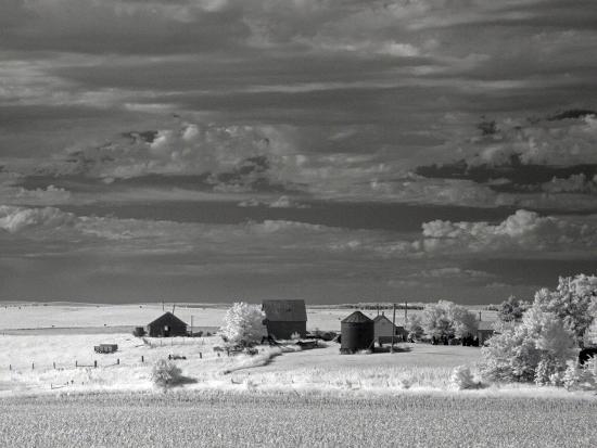 Photographic Print, , large