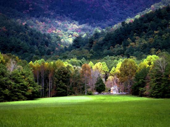 Premium Photographic Print, , large