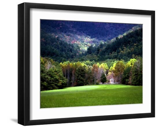 Premium Photographic Print, , large