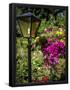 Essential Black