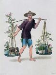 'A Porter with Fruit Trees and Flowers', China, 1800-J Dadley-Giclee Print