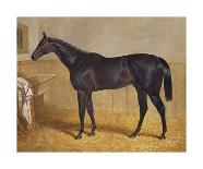 Sweetmeat, 1846-J.F. Herring Senior-Premium Giclee Print