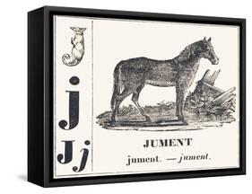 J for Mare, 1850 (Engraving)-Louis Simon (1810-1870) Lassalle-Framed Stretched Canvas