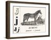 J for Mare, 1850 (Engraving)-Louis Simon (1810-1870) Lassalle-Framed Giclee Print