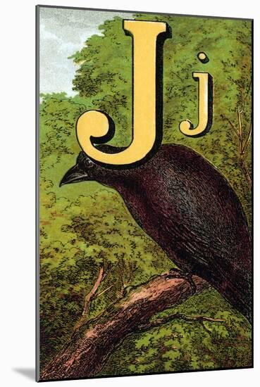 J For the Jackdaw, Perky And Bold-Edmund Evans-Mounted Art Print