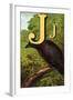 J For the Jackdaw, Perky And Bold-Edmund Evans-Framed Art Print