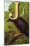 J For the Jackdaw, Perky And Bold-Edmund Evans-Mounted Art Print