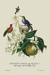 Green Pigeon and Cur Champhah of the Concan-J. Forbes-Art Print