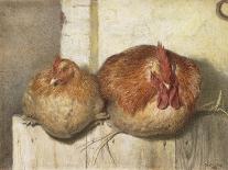 Forty Winks, 1865 (W/C on Paper)-J.G. Marks-Stretched Canvas