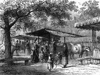A Milk Fair, St James's Park, London, 1891-J Greenaway-Framed Stretched Canvas