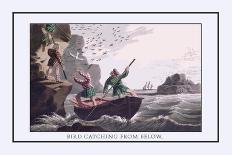 Bird Catching from Below-J.h. Clark-Art Print