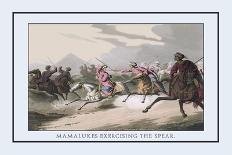 Battle Between the Great Boa and a Tiger-J.h. Clark-Art Print