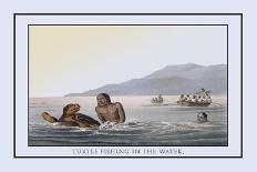 Turtle Fishing in the Water-J.h. Clark-Art Print