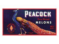 Peacock Melons-J^H^ Smith-Framed Art Print