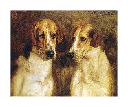 Foxhounds-J Hanson Jr Walker-Premium Giclee Print