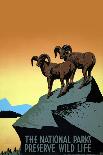 National Parks Preserve Wild Life-J. Hirt-Art Print