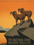 The National Parks Preserve Wild Life, ca. 1936-1939-J^ Hirt-Framed Art Print